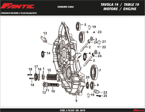 xQkxP6WFHe_mwz1lhvzz5_19 - Moteur TL250 - E.png